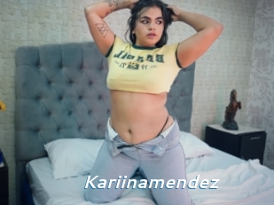 Kariinamendez