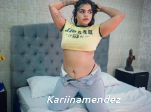 Kariinamendez