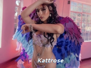 Kattrose