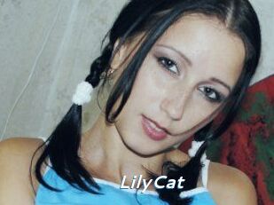 Lily_Cat_