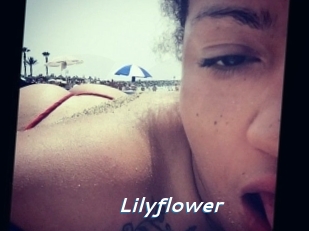 Lilyflower