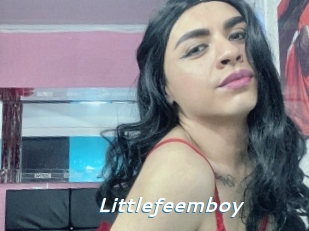 Littlefeemboy