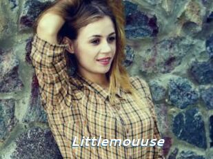 Littlemouuse