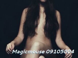 Magicmouse-09105004