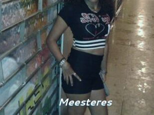 Meesteres