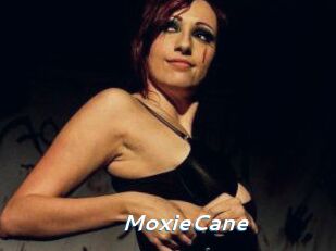 Moxie_Cane