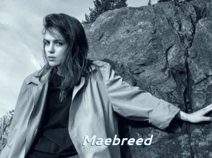 Maebreed