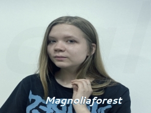 Magnoliaforest