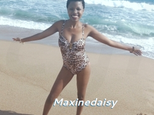 Maxinedaisy