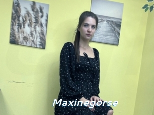 Maxinegorse