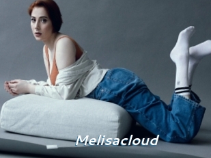Melisacloud