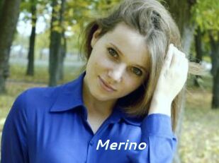 Merino