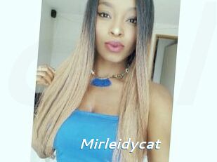 Mirleidycat