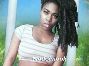Modelmook