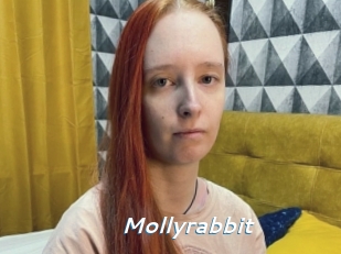 Mollyrabbit