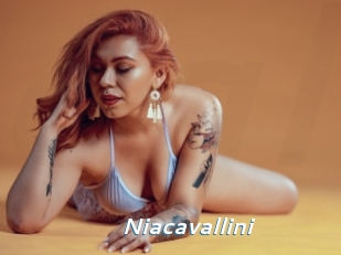 Niacavallini