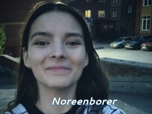 Noreenborer