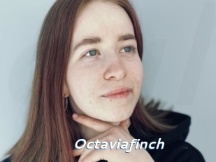Octaviafinch