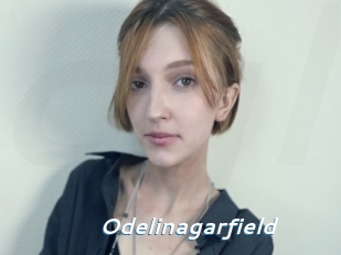 Odelinagarfield