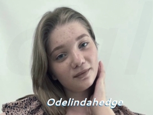 Odelindahedge