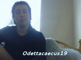 Odettacaecus19