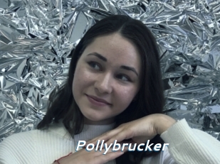 Pollybrucker