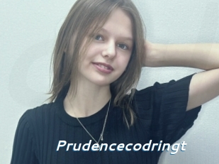 Prudencecodringt