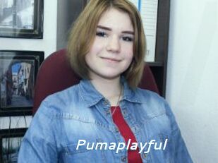 Pumaplayful
