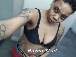 Raven_Stud