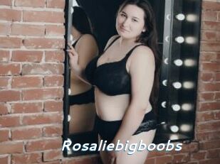 Rosaliebigboobs