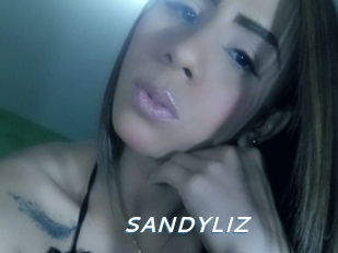 SANDYLIZ