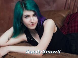 SandySnowX