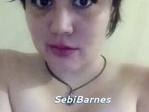 Sebi_Barnes