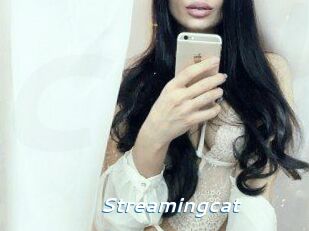 Streamingcat