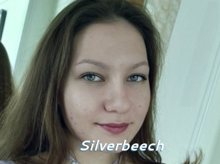 Silverbeech