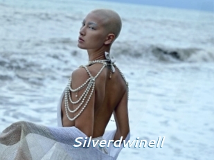 Silverdwinell