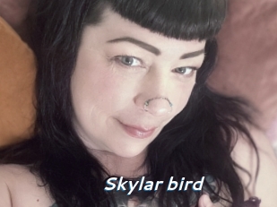 Skylar_bird