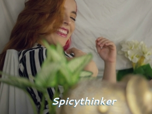 Spicythinker