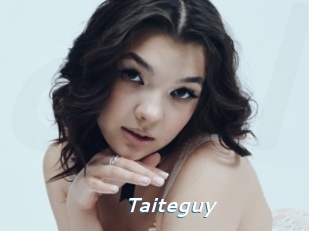 Taiteguy