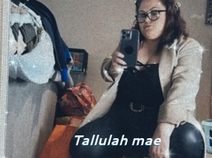 Tallulah_mae