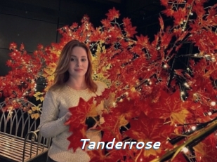 Tanderrose