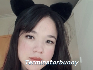 Terminatorbunny