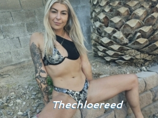 Thechloereed