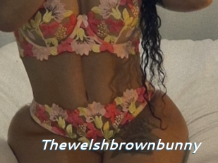 Thewelshbrownbunny