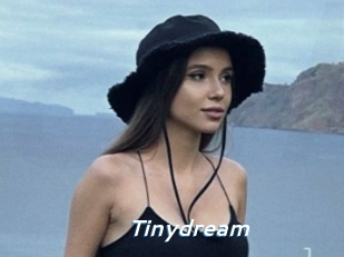 Tinydream