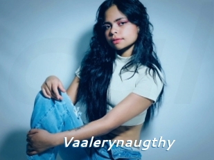 Vaalerynaugthy