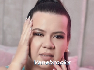 Vanebrooks