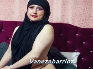 Vanezabarrioz