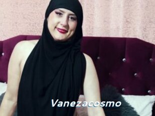 Vanezacosmo