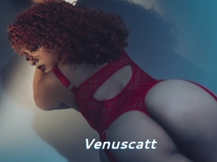 Venuscatt